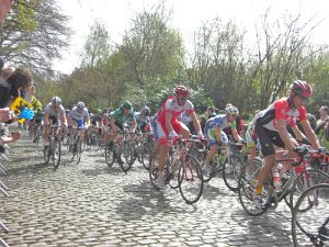 Flandern-Rundfahrt 2717